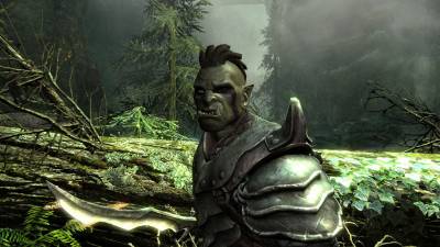 Скриншот The Elder Scrolls V: Skyrim №6